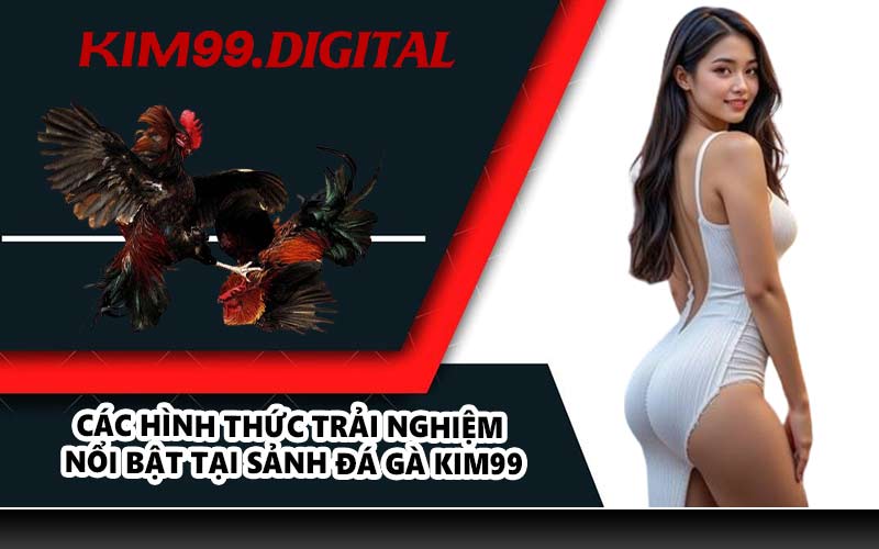 Các hình thức trải nghiệm nổi bật tại sảnh đá gà KIM99