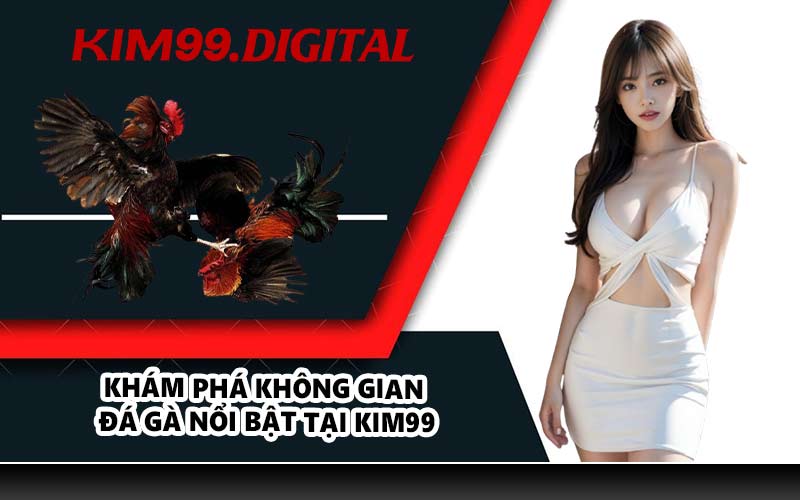 Khám phá không gian đá gà nổi bật tại KIM99