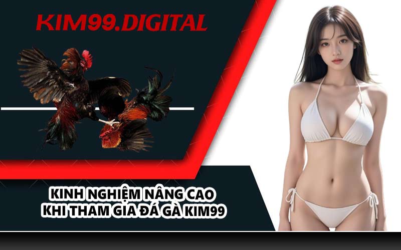 Kinh nghiệm nâng cao khi tham gia đá gà KIM99